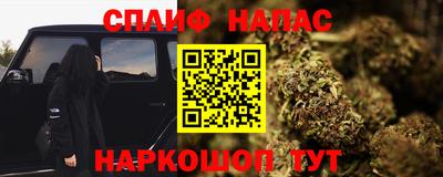 прущие крисы Гатчина