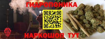 прущие крисы Гатчина