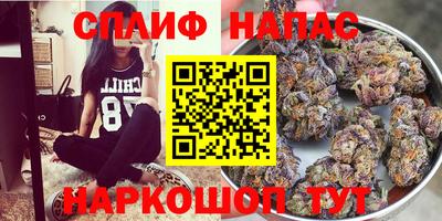MDMA Premium VHQ Гай