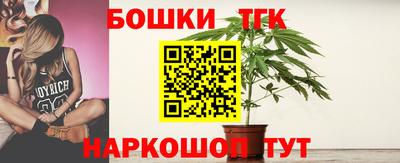 прущие крисы Гатчина